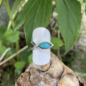 Turquoise Ichthys